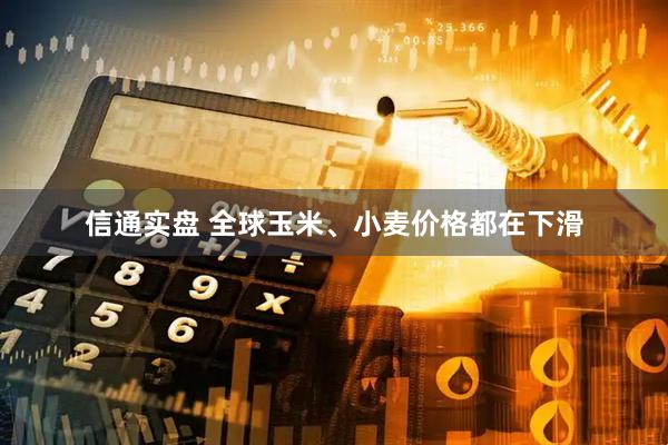 信通实盘 全球玉米、小麦价格都在下滑