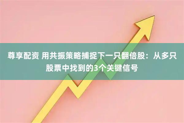 尊享配资 用共振策略捕捉下一只翻倍股：从多只股票中找到的3个关键信号