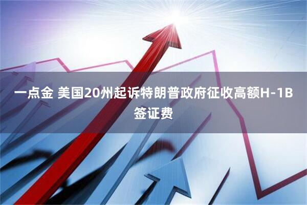 一点金 美国20州起诉特朗普政府征收高额H-1B签证费