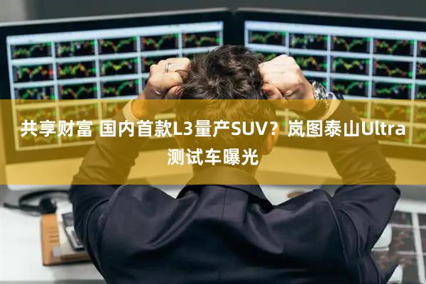 共享财富 国内首款L3量产SUV？岚图泰山Ultra测试车曝光